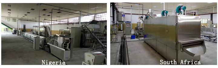 pet food machinery client case