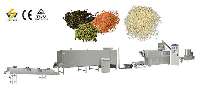 Dal fortified rice processing line