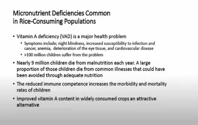 why we need fortified rice