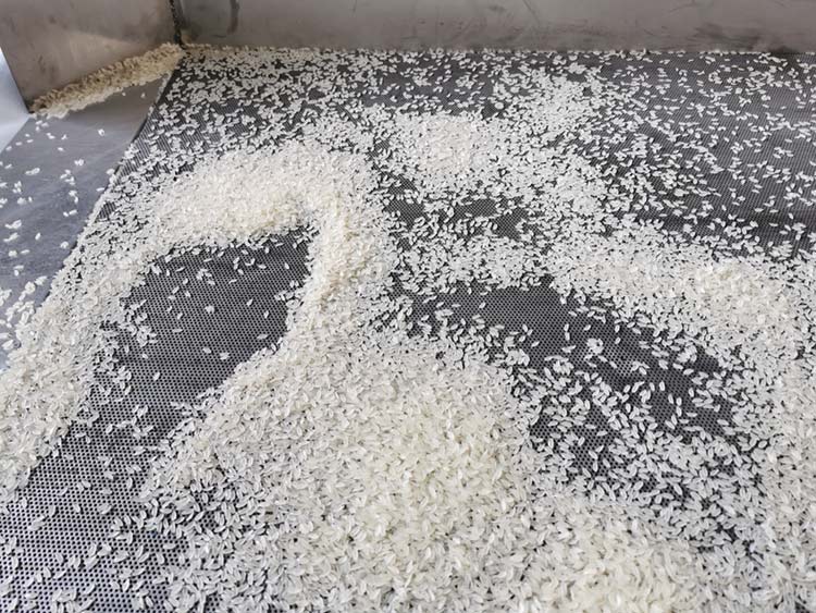 artificial rice