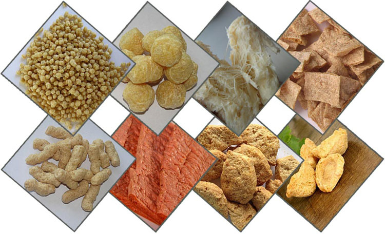 vegetable protein