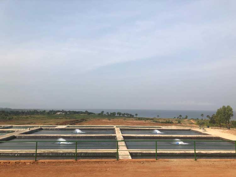 fish farm